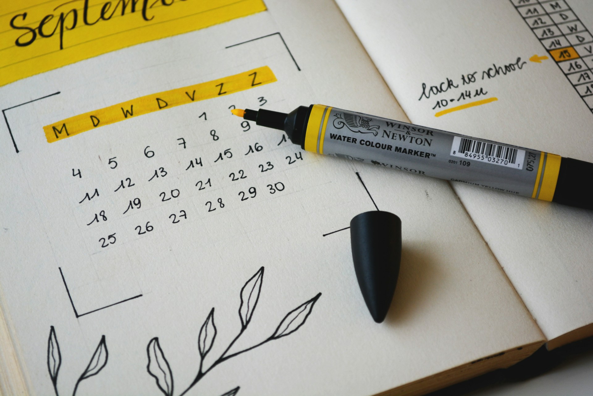 Skill Up Mastery Calendar Management Article | Mastering Your Schedule: The Art of Calendar Management