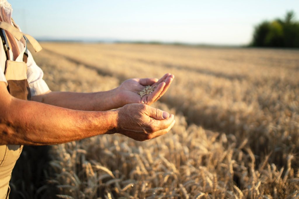 StrategyDriven Editorial Perspective Article | Why Farmers Are Thriving in Alabama