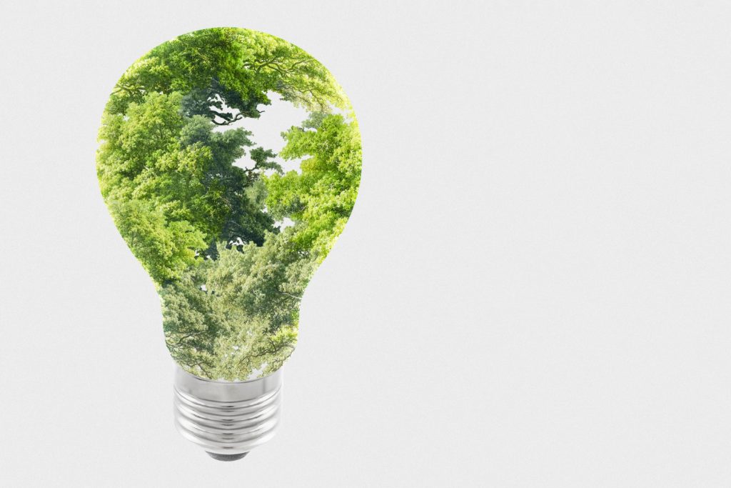 How Your Business Can Become More Sustainable This Year | StrategyDriven Managing Your
Business Article